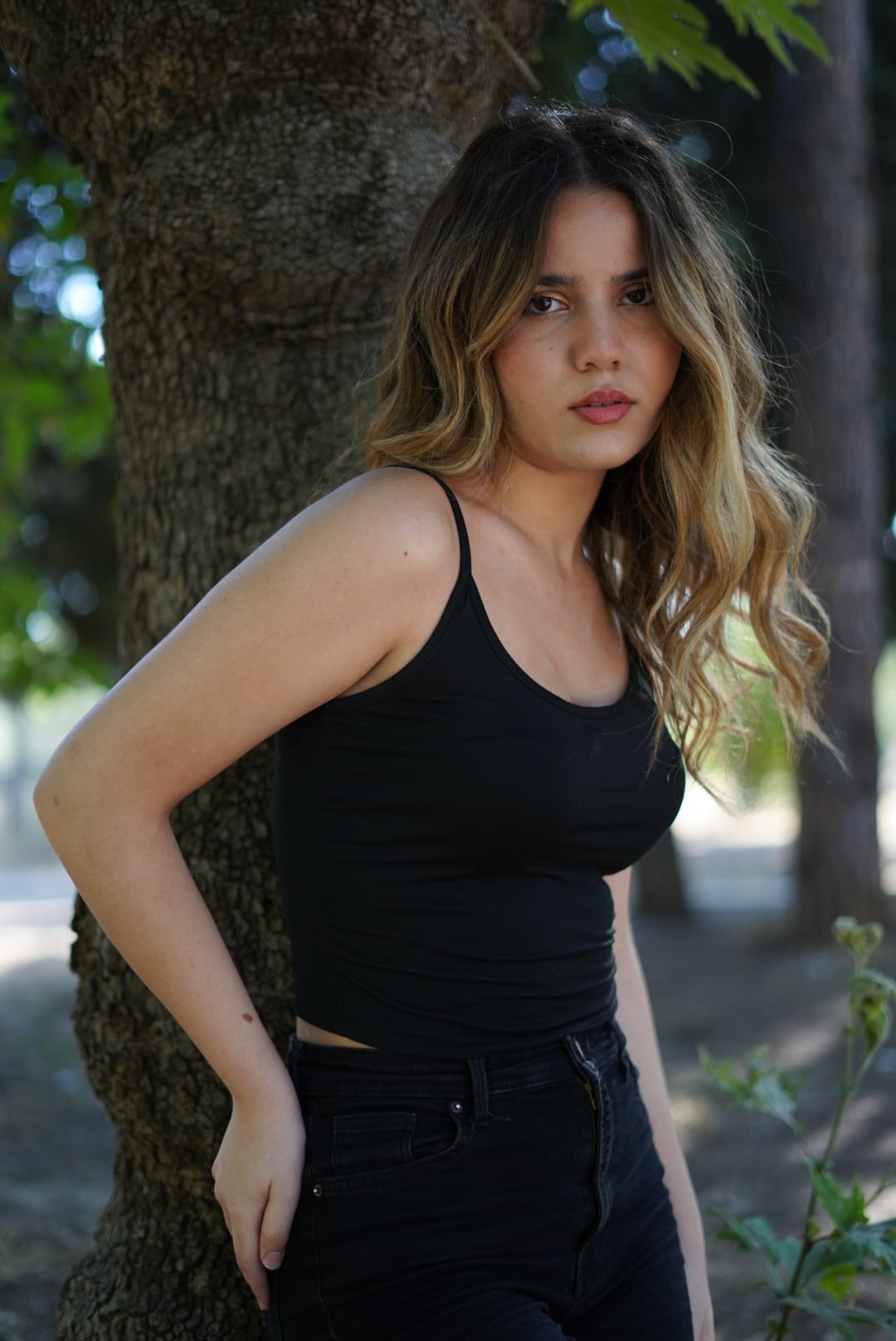 Modeling visual 86